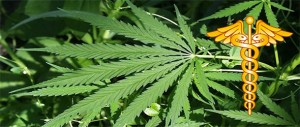Medical Marijuana