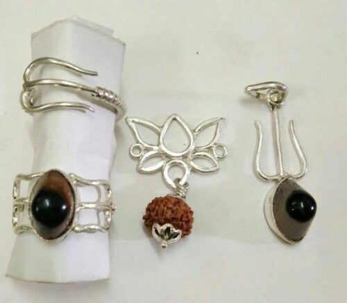 Rudraksha Practitioner Training Program