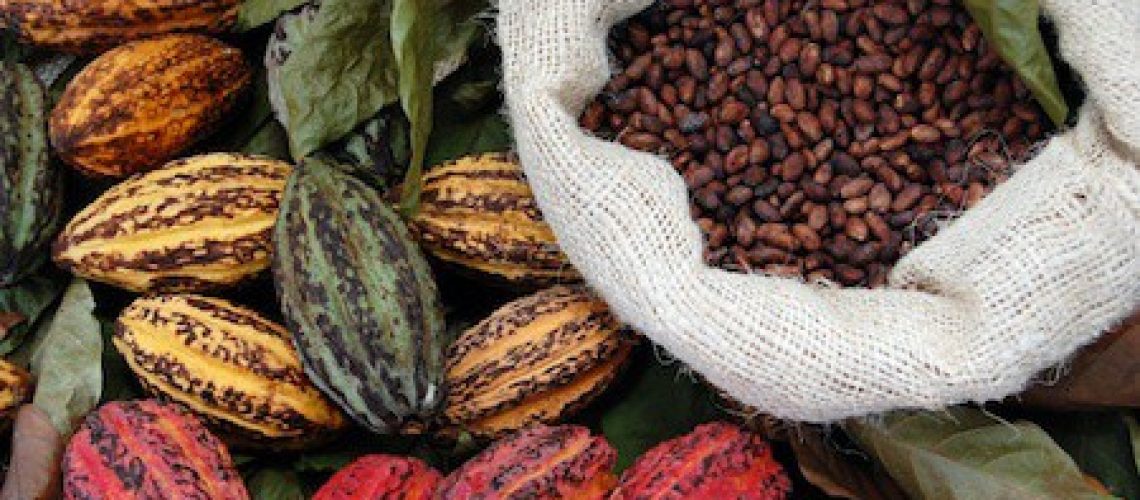 cacao